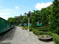 Wenecja- 017